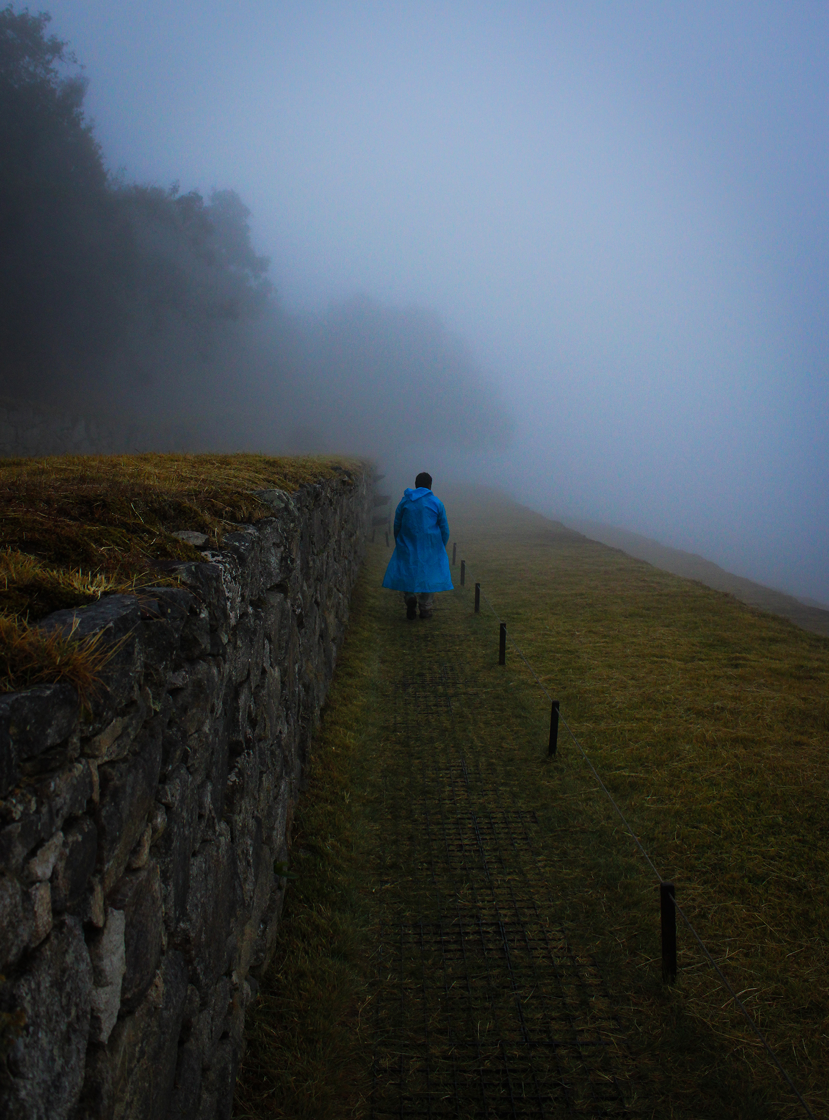 Lead the Way